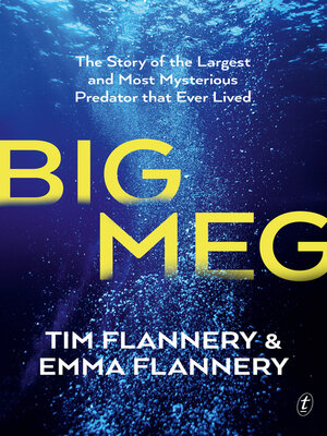 Big Meg - ebook